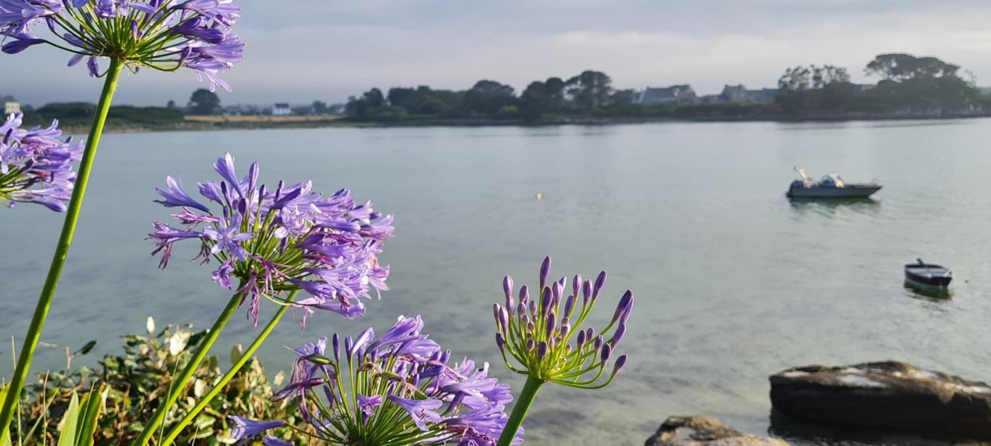 Kelerdut Plage Plouguerneau Dış mekan fotoğraf